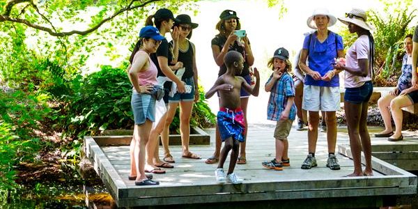 Building healthier, happier cities: Interacting with nature has been shown to improve mental health. A team led by the UW and Stanford University will help city planners create urban environments that benefit the people who live there. #UWinnovates